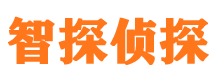 渝中市侦探公司